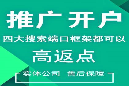 百度推广实战：成功企业的营销策略